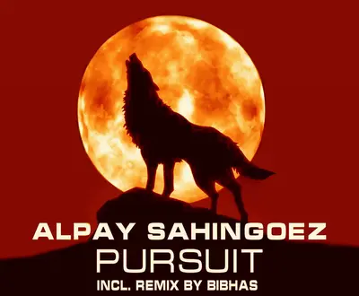 Alpay Sahingoez