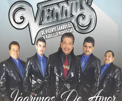 Grupo Vennus