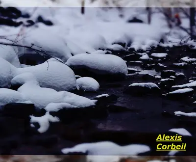 Alexis Corbeil
