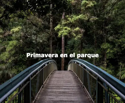 Trabajando desde casa