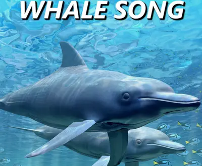 Whale Song