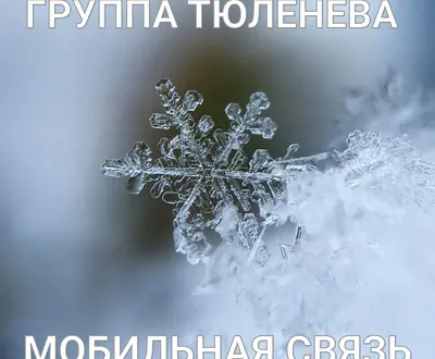 Группа Тюленева