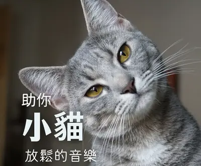 宠物治愈音乐