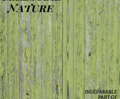 Nature Understanding Healing Vibes