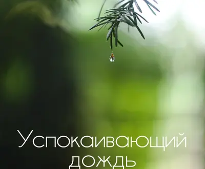Healing Rain Sound Academy