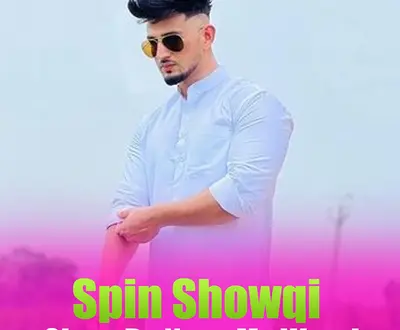 Spin Showqi