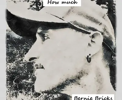 Bernie Bricks