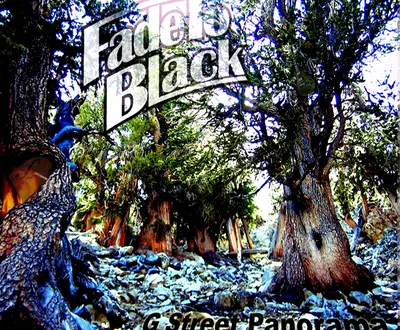Fade to Black