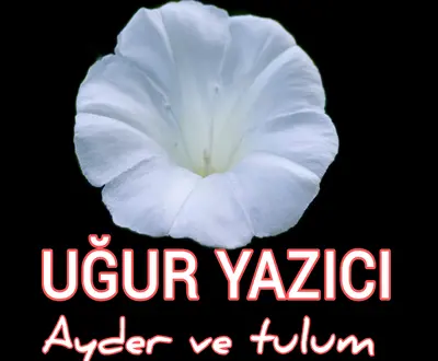 Uğur Yazıcı