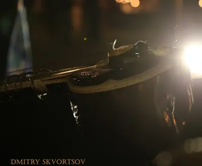 Dmitry Skvortsov