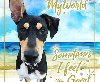 MyWorld