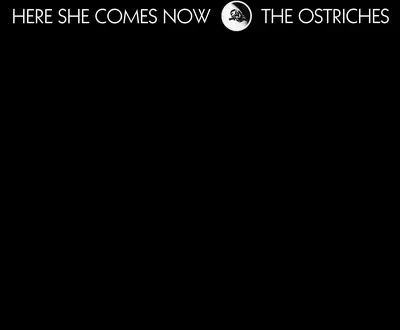 The Ostriches