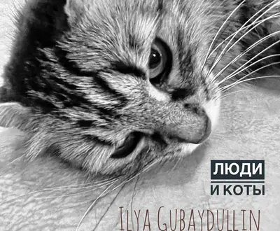 Ilya Gubaydullin