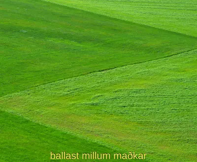 AGGRASOPPAR