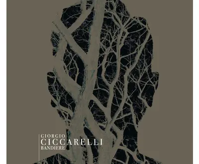 Giorgio Ciccarelli