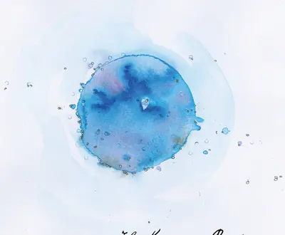 The Gemini Project