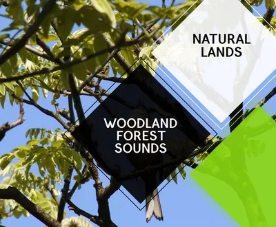 Rewind Nature Breathing Project