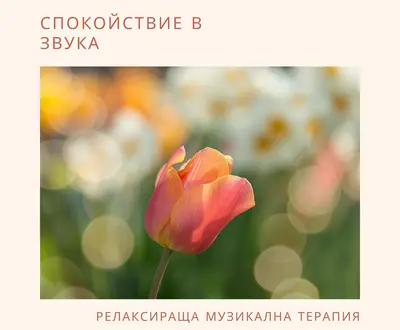Релаксираща музикална терапия