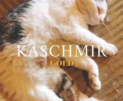 Kaschmir