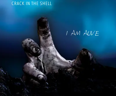 Crack in the Shell