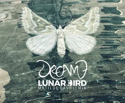 Lunar Bird