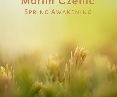 Martin Czeltic