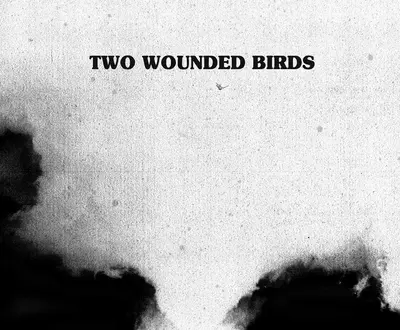 Two Wounded Birds