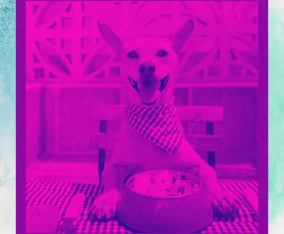 Calm Relaxing Dog Music