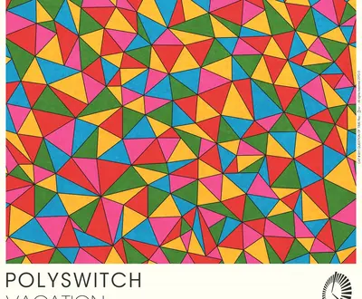 Polyswitch