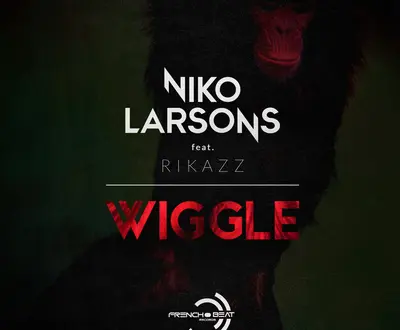Niko Larsons