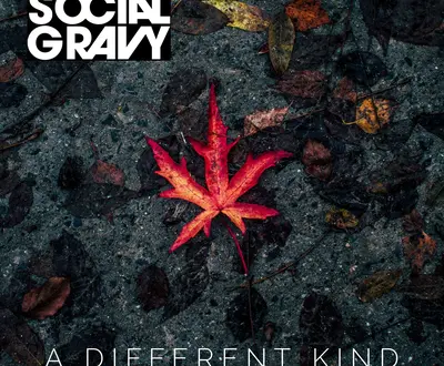 Social Gravy