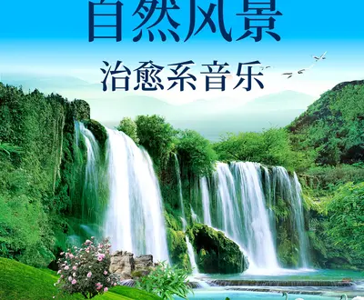 森林风景
