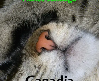 Canadia