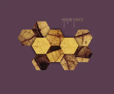 Honey Bee