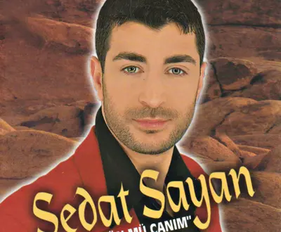 Sedat Sayan
