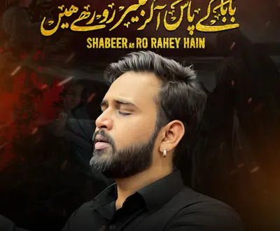 Aqeel Abbas Hussain