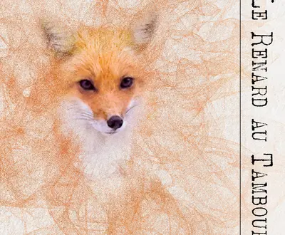 Le Renard au Tambour
