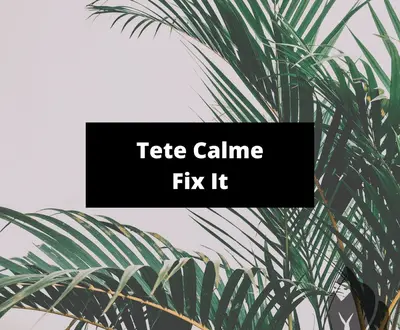 Tete Calme
