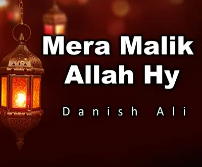Danish Ali