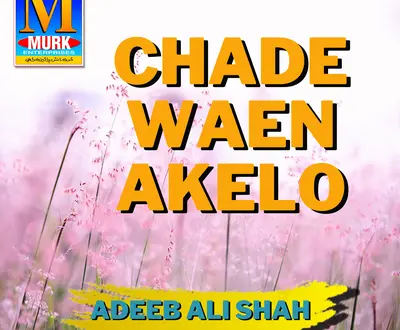 Adeeb Ali Shah