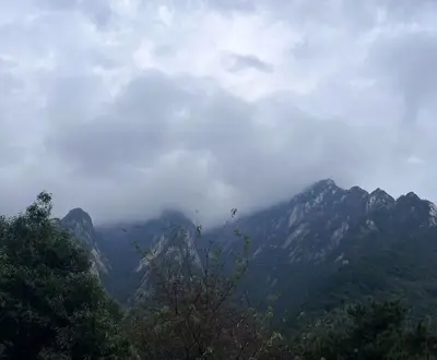 涯归舟