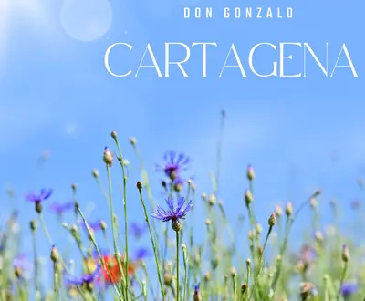 Don Gonzalo