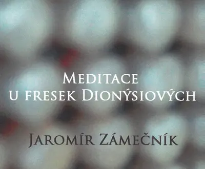 Jaromír Zámečník