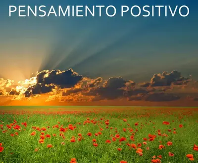Sonidos de la Naturaleza Relajacion