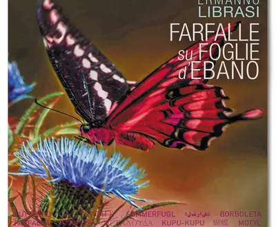 ermanno librasi