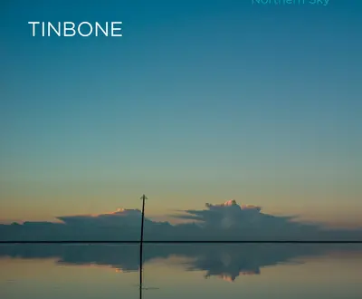 Tinbone