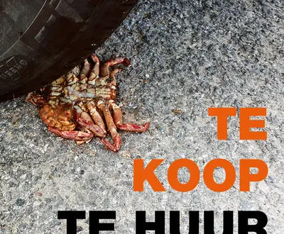Te Koop Te Huur