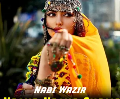 Nabi Wazir