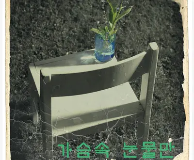 강세미