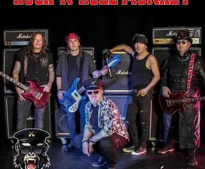 Rock 'n' Roll Monkey